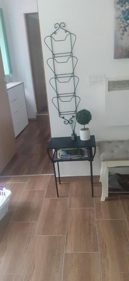 Apartman Sara Vl. Franjo Klasic Крапина Экстерьер фото