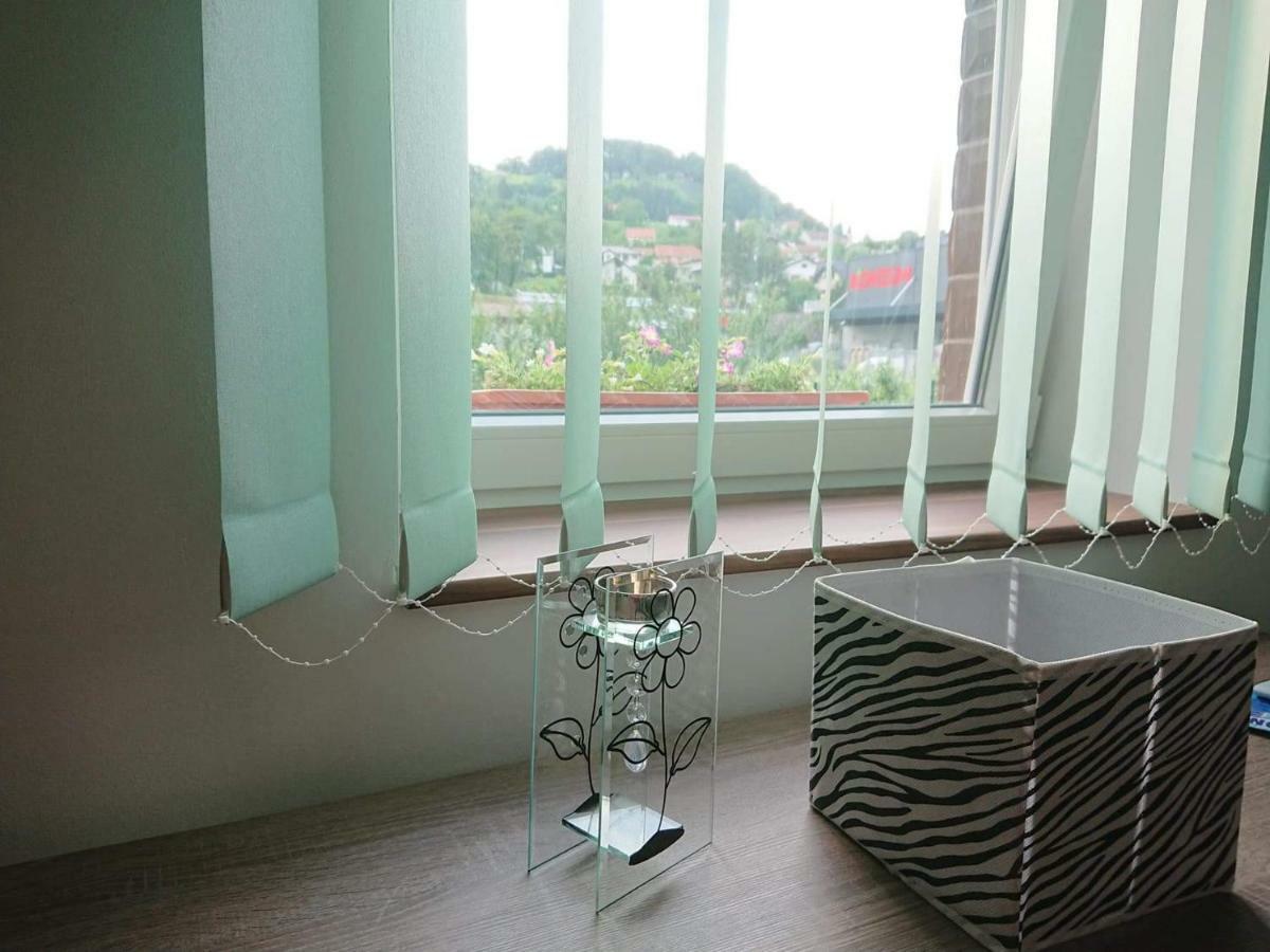 Apartman Sara Vl. Franjo Klasic Крапина Экстерьер фото